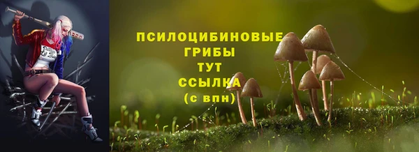 мяу мяу мука Ельня