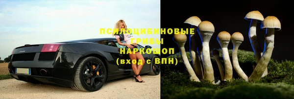 ALPHA PVP Елизово