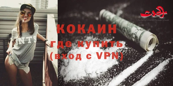 ALPHA PVP Елизово