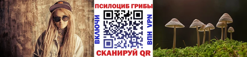 Купить закладки Кириши Галлюциногенные грибы Cubensis